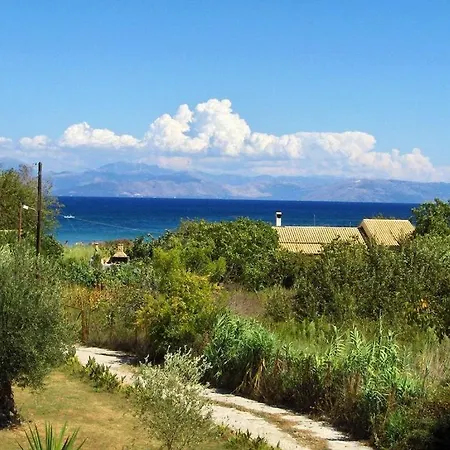 Firefly Georgios 11 *