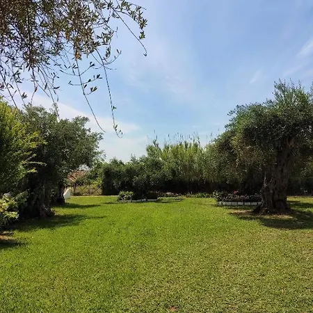 Firefly Georgios 11 Lejlighed *