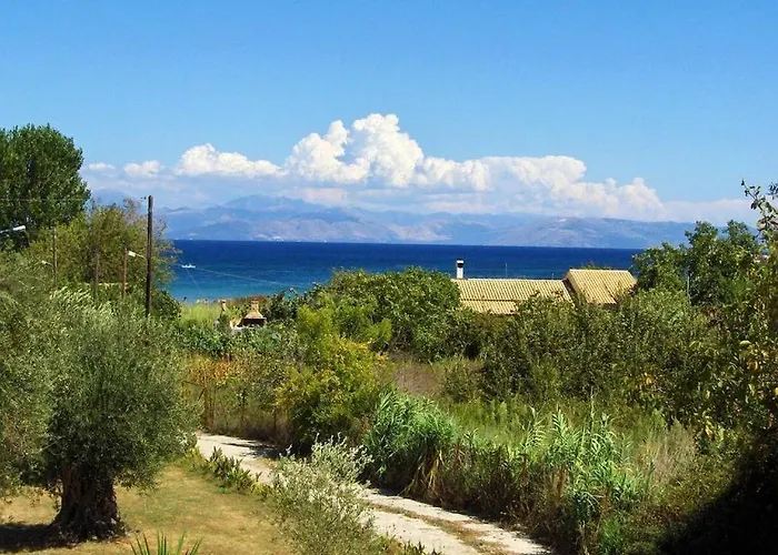Firefly Georgios 11 *
